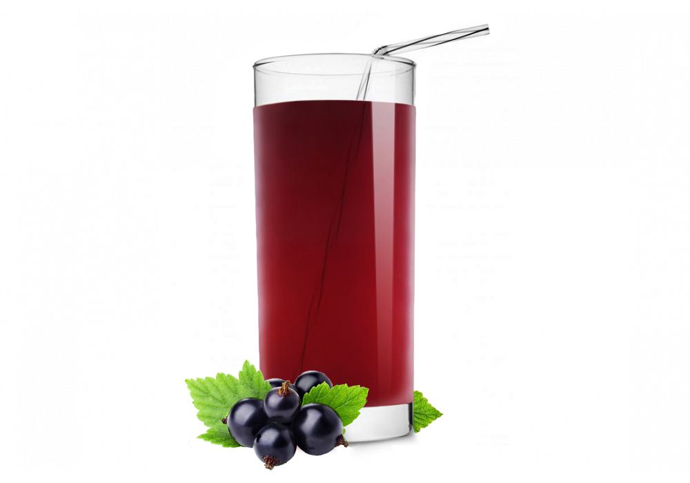 Морс Черная Смородина 0,5